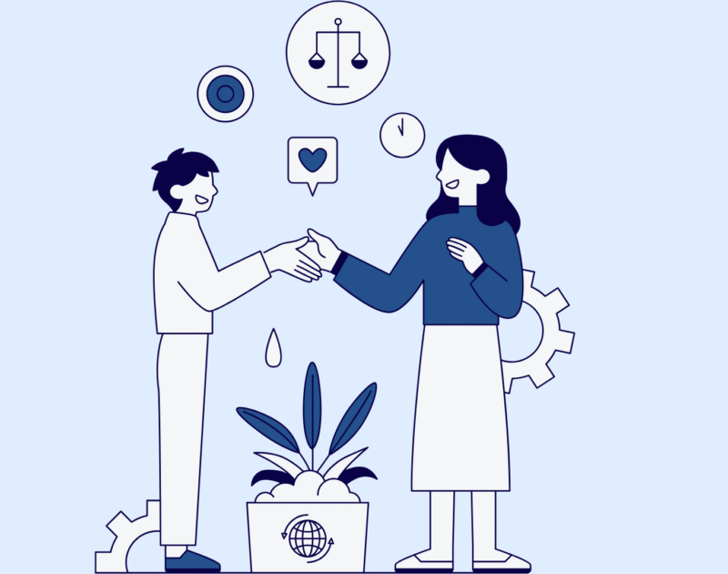 Custom Software Development Partner